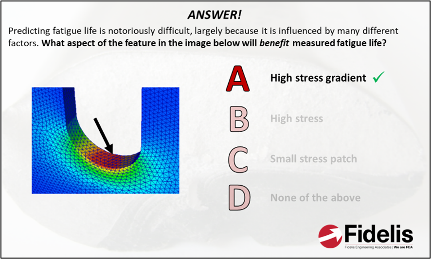 FEA Interview and Exam Prep