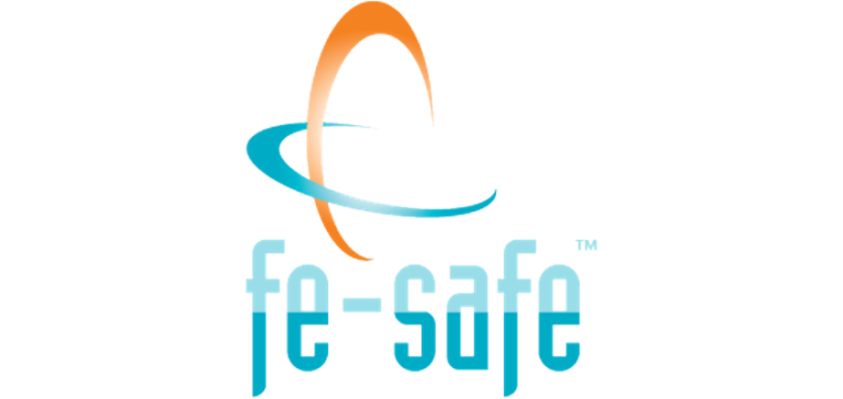 fe-safe Durability Software